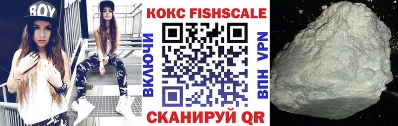 COCAIN Fish Scale Нижний Новгород