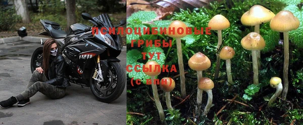 круглые Алзамай