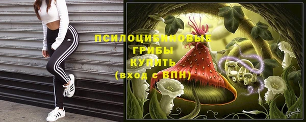 метадон Алексеевка