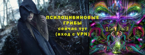 метадон Алексеевка