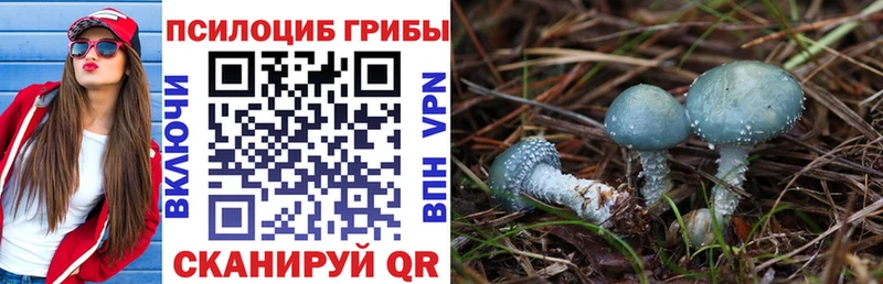 Псилоцибиновые грибы ЛСД  Нижний Новгород 