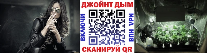 Канабис OG Kush  Нижний Новгород 